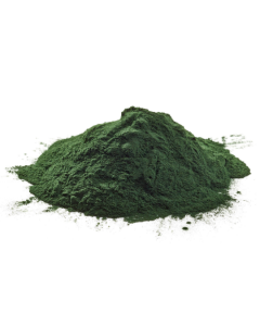 Chlorella Powder, Organic